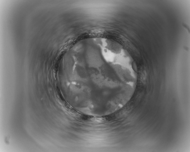 X0000102300711200808152018