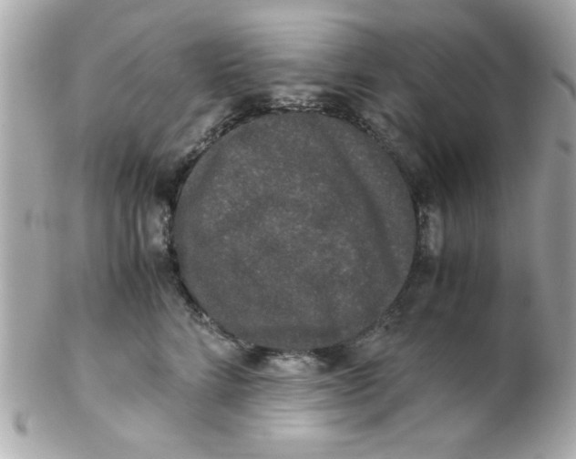 X0000102300712200808152018