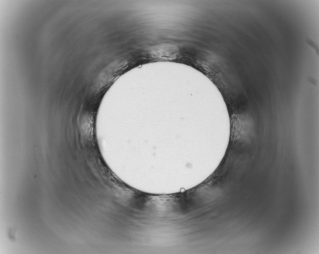 X0000102300713200808152018