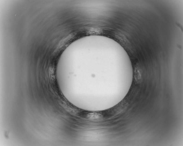 X0000102300714200808152018