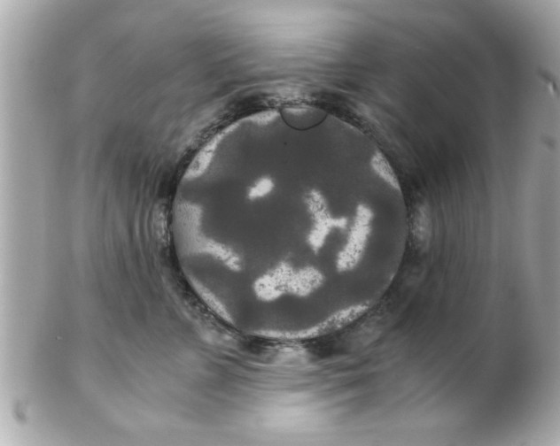 X0000102300715200808152018