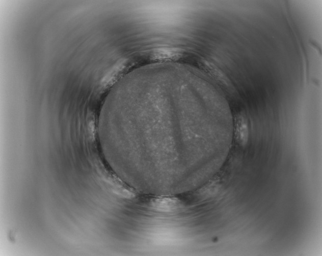 X0000102300716200808152018