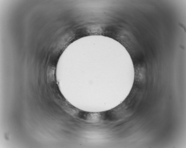 X0000102300717200808152018