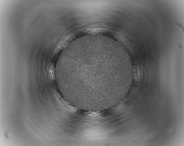 X0000102300718200808152018