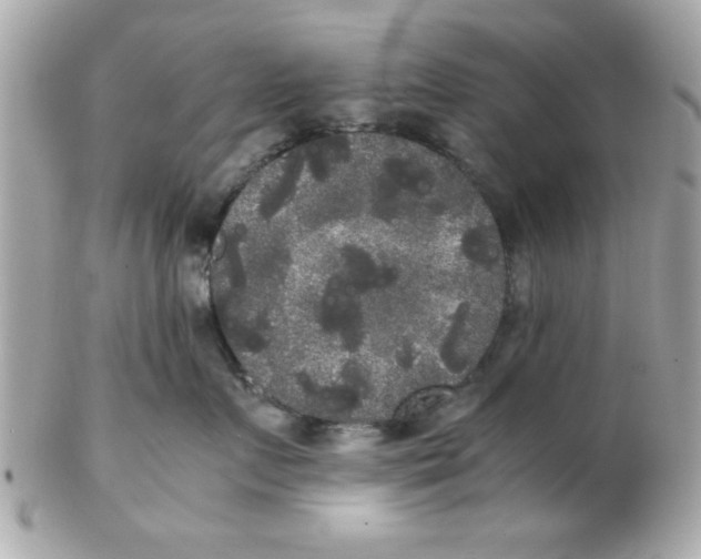 X0000102300719200808152018