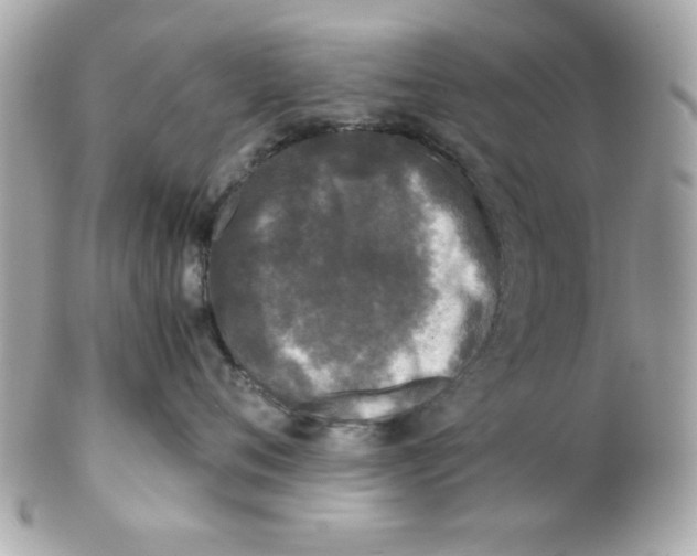 X0000102300720200808152018