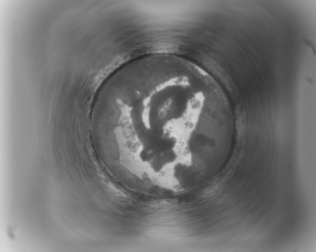 X0000102300721200808152017