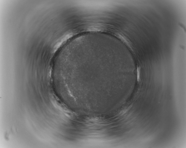 X0000102300723200808152017
