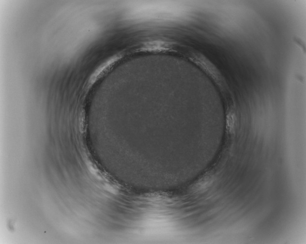 X0000102300724200808152017
