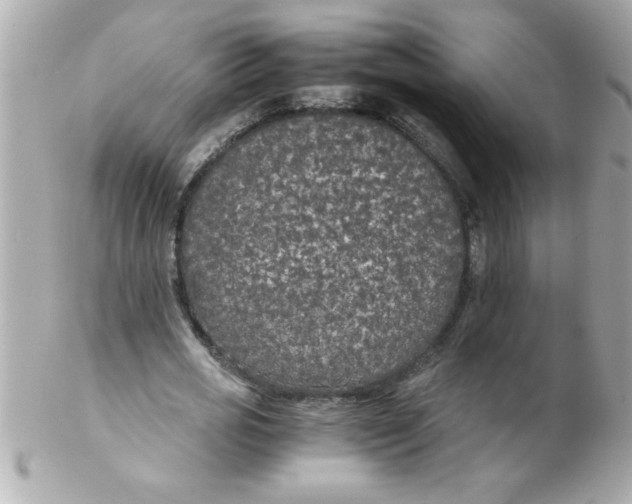 X0000102300725200808152017