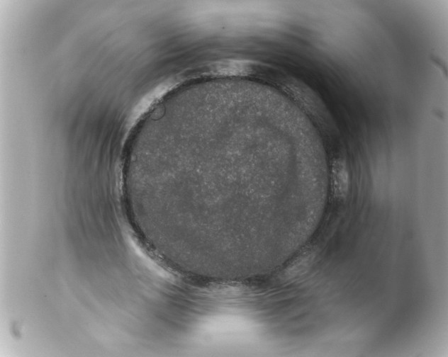 X0000102300726200808152017