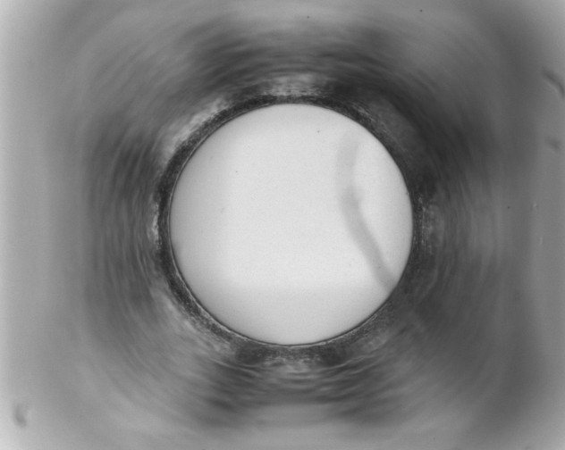 X0000102300727200808152017