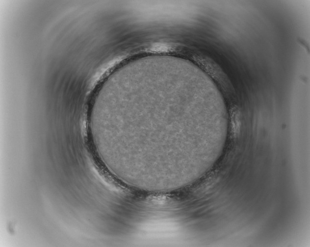 X0000102300728200808152017