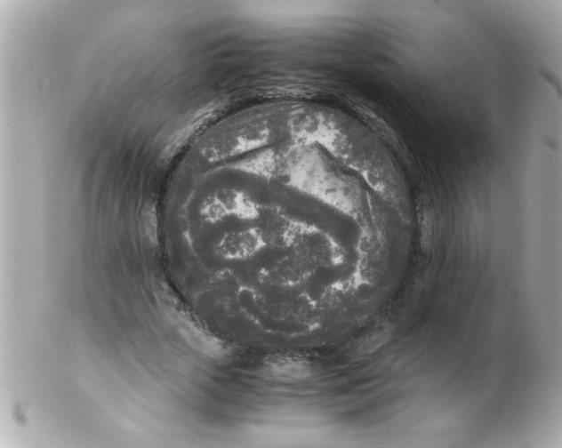 X0000102300729200808152017