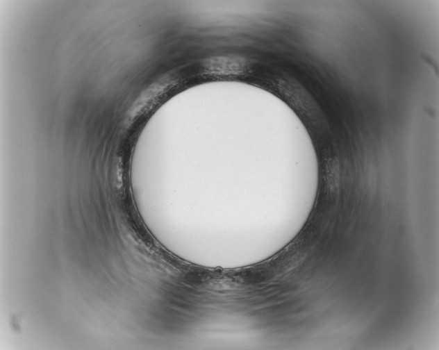 X0000102300731200808152017