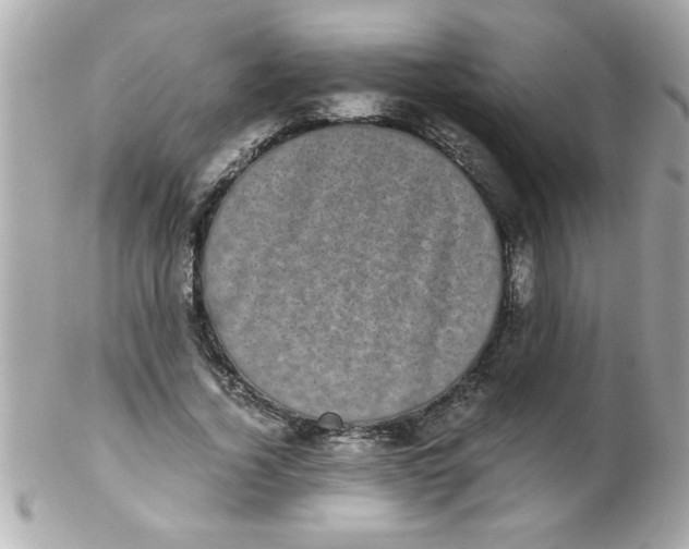 X0000102300732200808152017