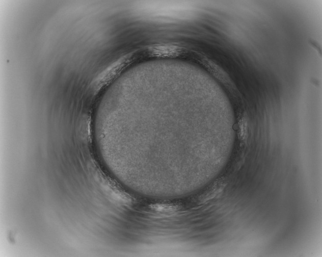 X0000102300733200808152017