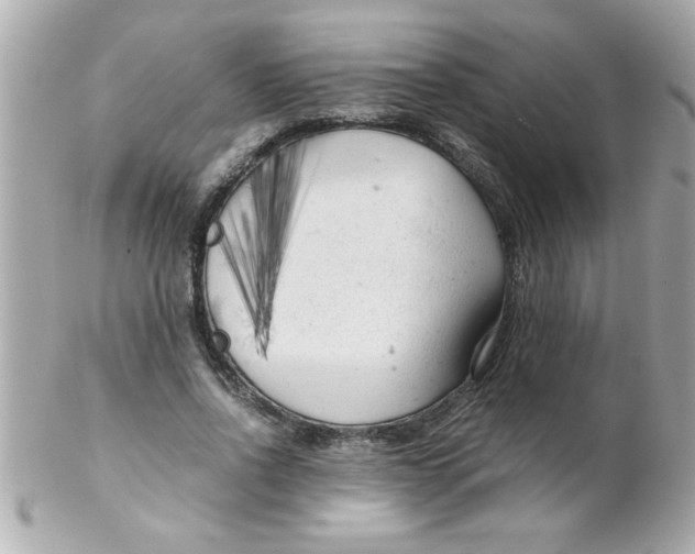 X0000102300734200808152017