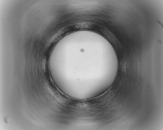 X0000102300735200808152017