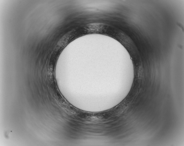 X0000102300737200808152017