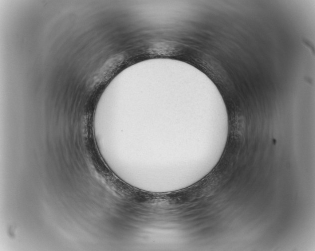 X0000102300738200808152017