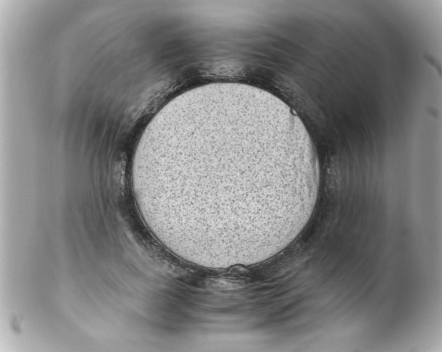 X0000102300739200808152017