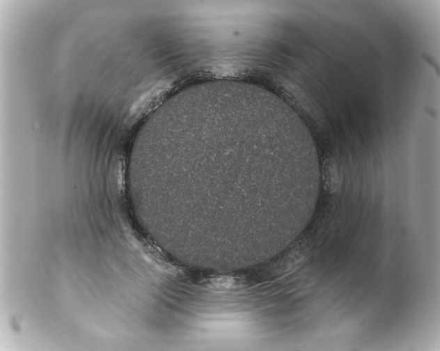 X0000102300740200808152017