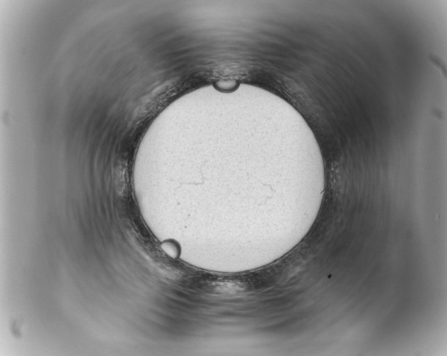 X0000102300741200808152017