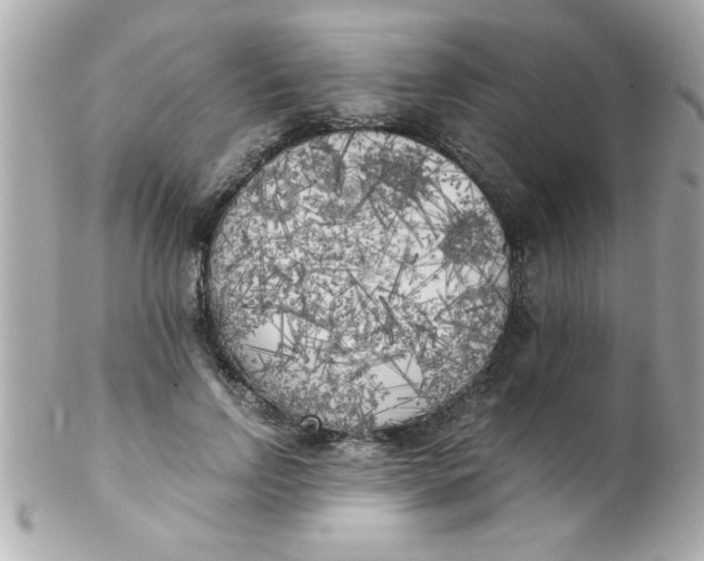 X0000102300742200808152017