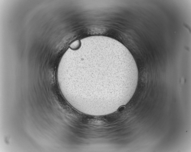 X0000102300743200808152017