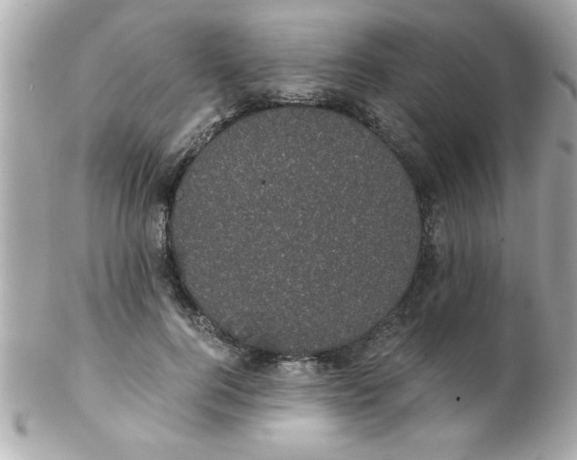 X0000102300744200808152017