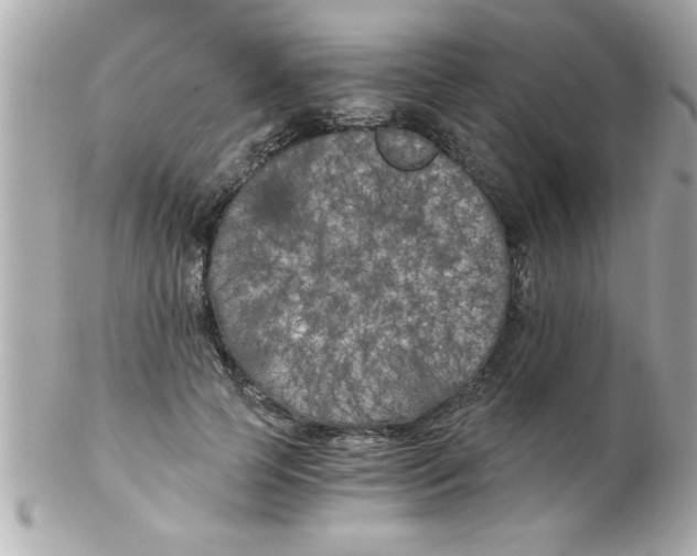 X0000102300745200808152017