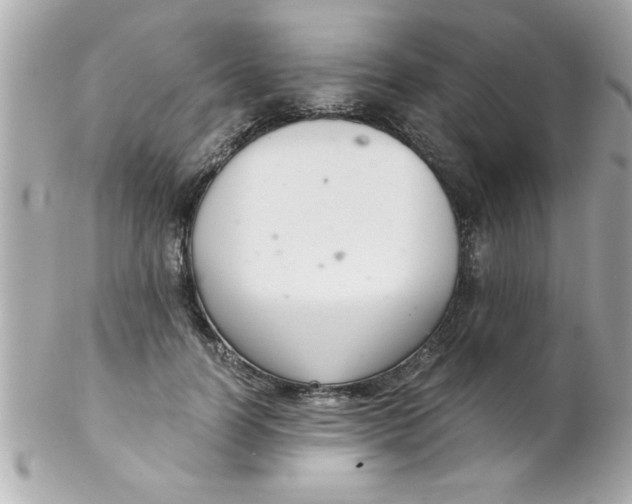 X0000102300746200808152017
