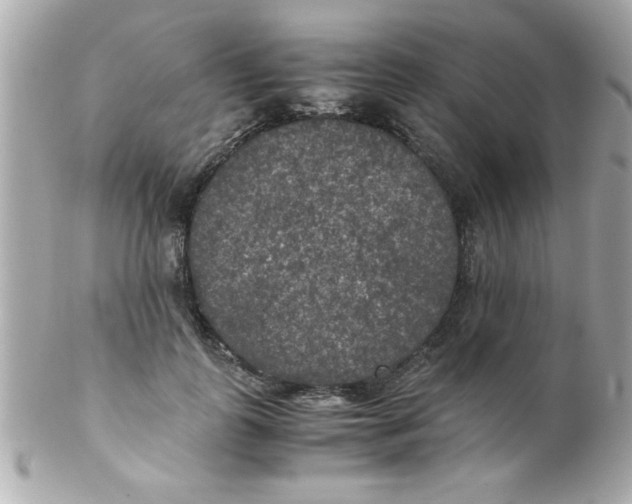 X0000102300747200808152017