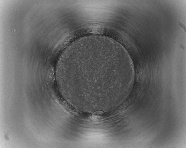 X0000102300748200808152017