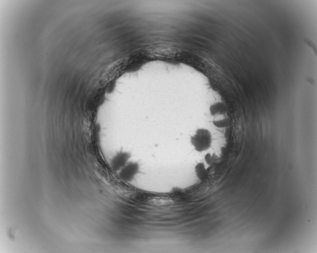 X0000102300749200808152017