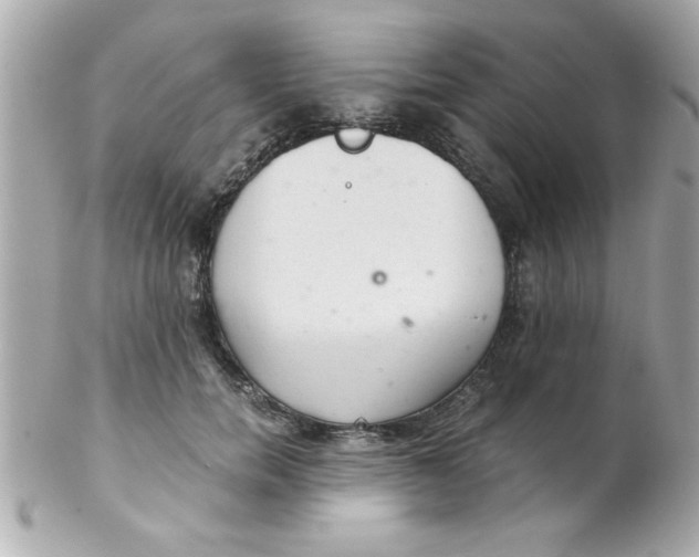 X0000102300750200808152017