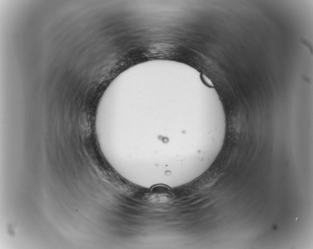 X0000102300751200808152017