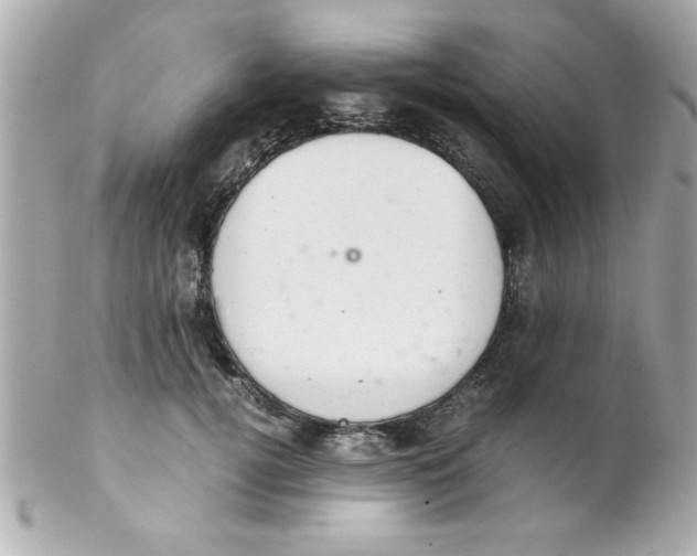 X0000102300752200808152017