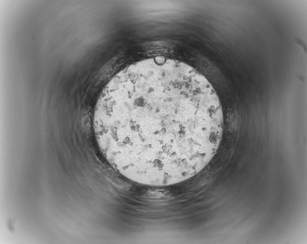 X0000102300753200808152017