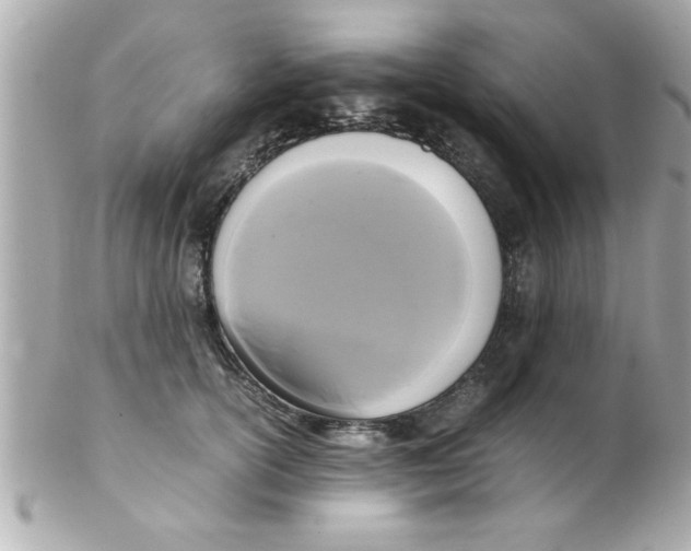X0000102300754200808152017
