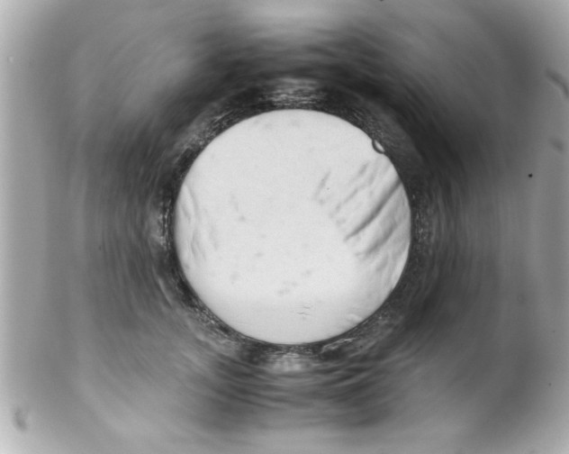 X0000102300755200808152017