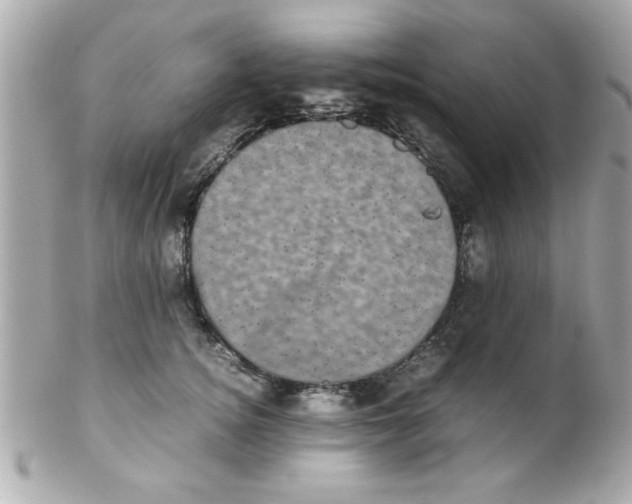 X0000102300756200808152017