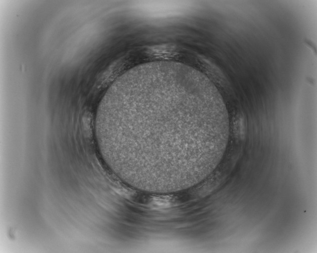 X0000102300757200808152017