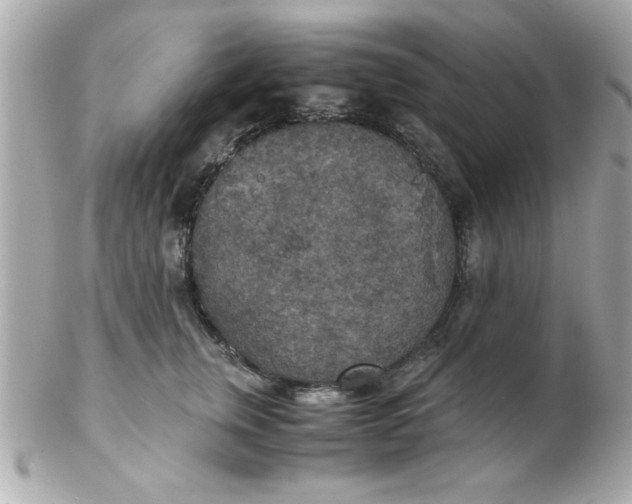 X0000102300759200808152018