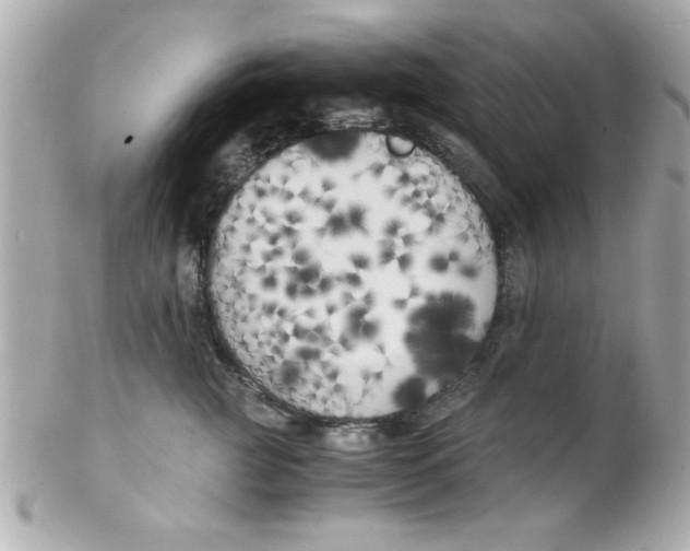 X0000102300761200808152018