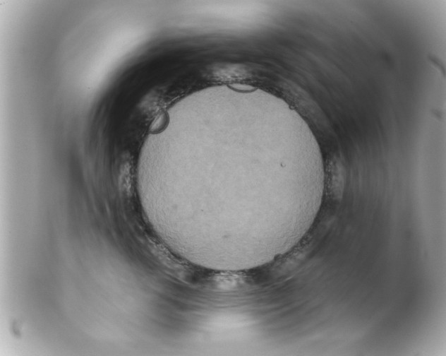 X0000102300762200808152018