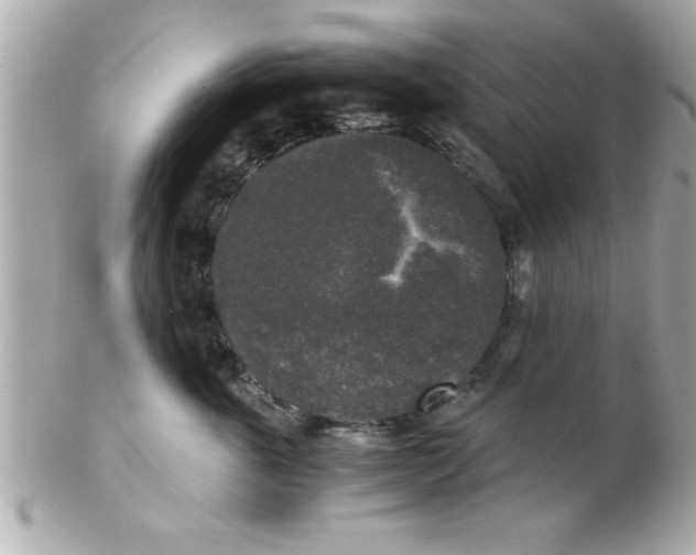 X0000102300763200808152018
