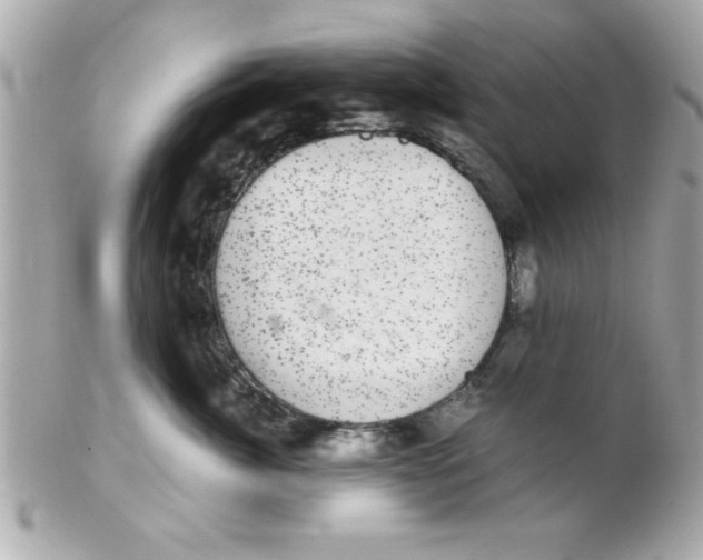X0000102300764200808152018