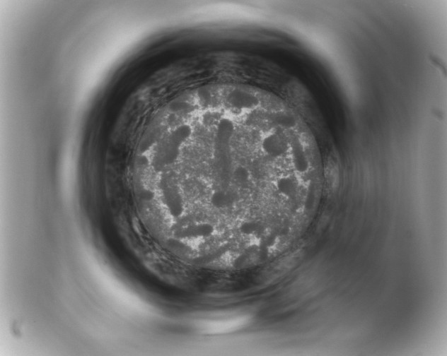 X0000102300765200808152018